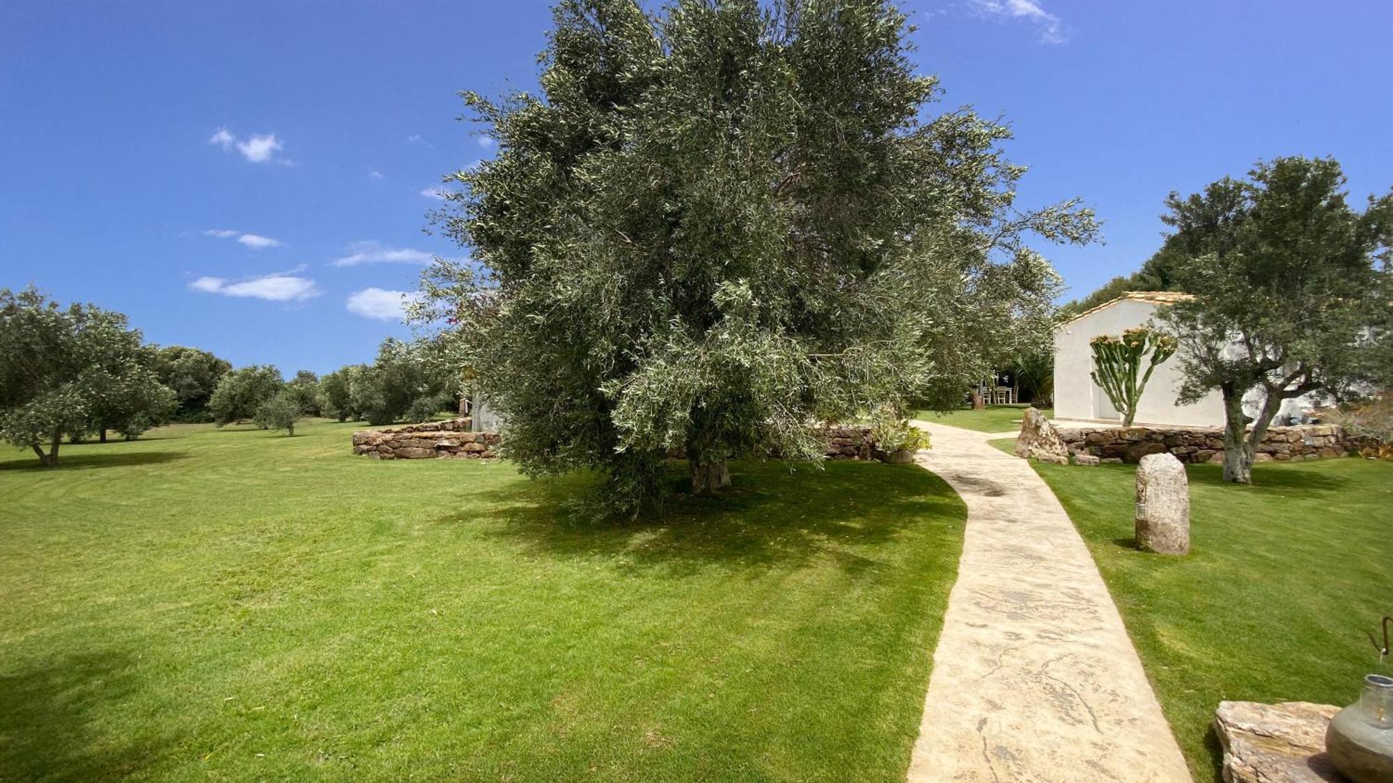 Villa Oasi Blu Calasetta Exterior foto
